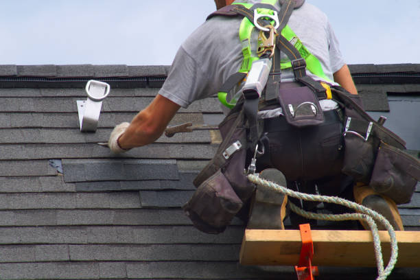 Best Roof Gutter Cleaning  in Fairbury, NE
