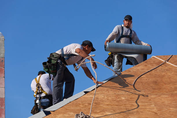 Best Flat Roof Repair Services  in Fairbury, NE