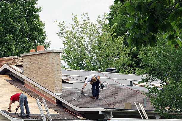 Best Roof Gutter Cleaning  in Fairbury, NE